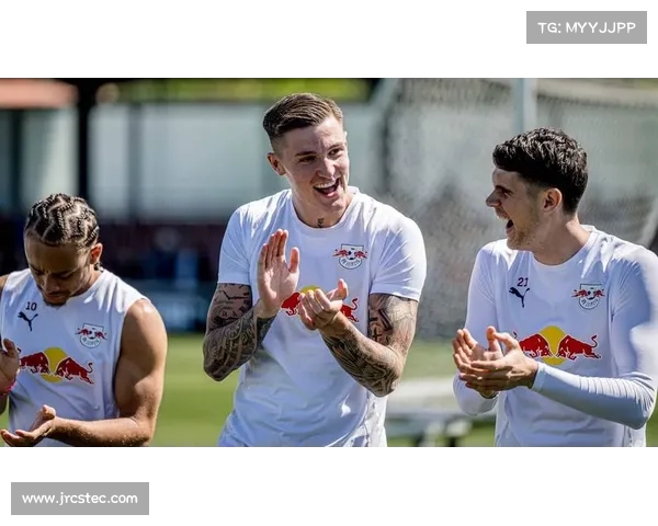 曼联8500万引进谢什科如何助力兑现新伊布潜力 曼联8500万引进谢什科如何助力兑现新伊布潜力