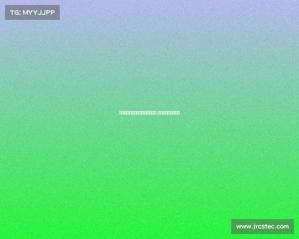 德甲球队在欧洲赛场的崛起与挑战 赛季成绩与未来展望